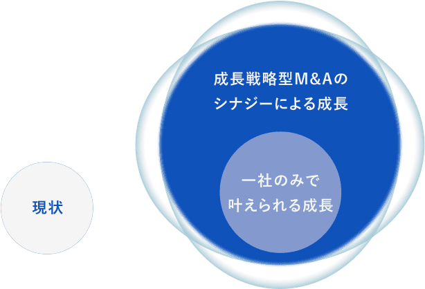 現状 成長戦略型M&Aのシナジーによる成長 一社のみで叶えられる成長